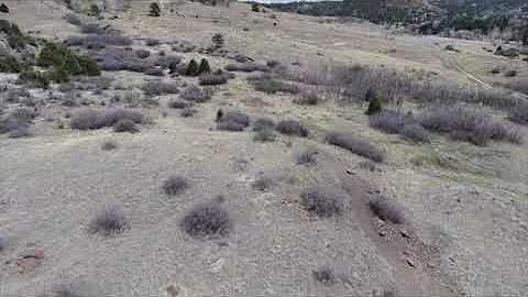 Lori Cohen 5K Trail - Part 1