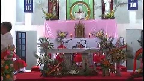 Nghi thức nhậm chức và thánh lễ tạ ơn của cha xứ Gx Đức Ninh