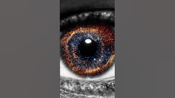 🎧 تلاوة خاشعة من القرآن الكريم بصوت القارئ الشيخ ماهر المعيقلي #quran #تلاوة