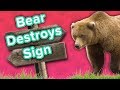 Bear destroying signs  squirrel riding fan  funny animal compilation