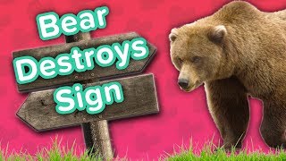Bear Destroying Signs Squirrel Riding Fan Funny Animal Compilation