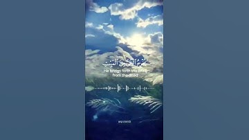 سورة الروم ماهر المعيقلي