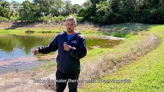 What Happens When You Leave an HOA Pond Untreated? (Invasive Weed Risks)