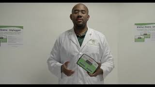 BB Timer Introductory Video / KITCHEN BRAINS