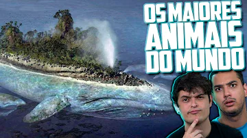 Qual o animal mais alto do planeta?