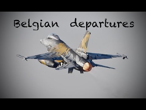 6x Belgian Vipers departed after being fogged away from their homebase. Including Tiger. (28JAN2022)