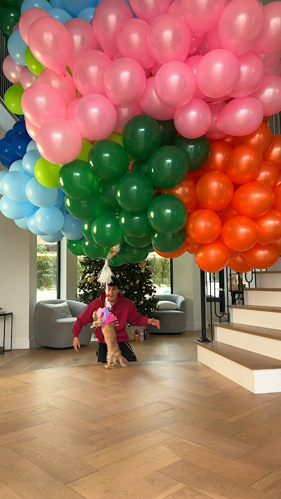 How many balloons does it take to make a puppy fly?🥺🎈