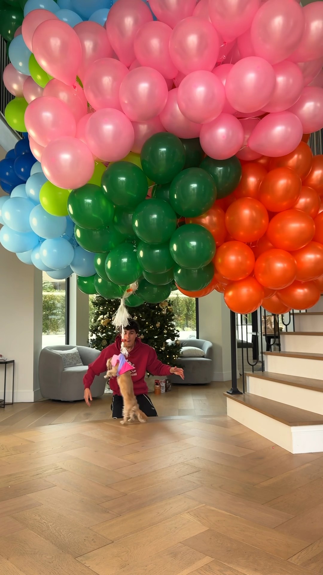 How many balloons does it take to make a puppy fly???
