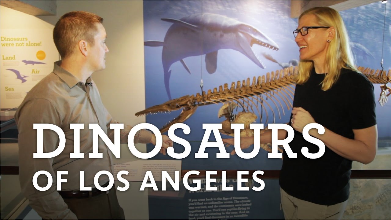 museums in london The Curiosity Show Ep. 12 Dinosaurs of Los Angeles