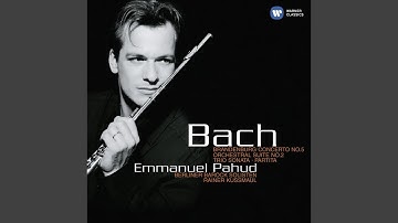 Orchestral Suite No. 2 in B Minor, BWV 1067: VI. Menuet