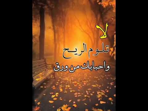 لا تلوم الريح وأحبابك من ورق