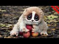 Animales ADORABLES que son realmente PELIGROSOS