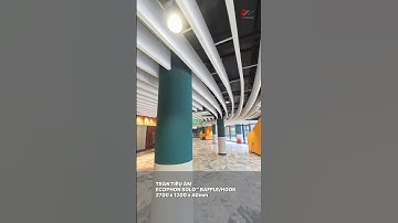 Sản phẩm Ecophon dùng trong rạp xiếc Phú Thọ #shorts