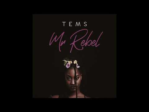 Tems - Mr Rebel
