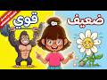 أغنية الأضداد الكلمة وعكسها باللغة العربية بدون موسيقى      