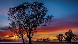 A Little Evening Prayer/A. Stone