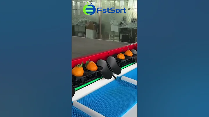 Orange Sorting, Grading, and Packing Lines Post Harvest Processing of Citrus Fruits Sorter​