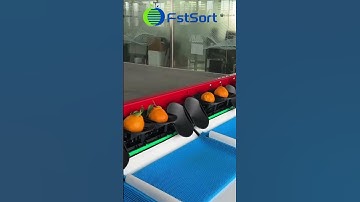 Orange Sorting, Grading, and Packing Lines Post Harvest Processing of Citrus Fruits Sorter​