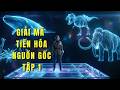 GIẢI MÃ TIẾN HÓA: Bạn Là Một "Bản Nâng Cấp" 4 Tỷ Năm? 🕵️‍♂️