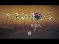 張學友 我真的受傷了 是你變了 我的心真的受傷了 動態歌詞Lyrics 張學友 我真的受傷了 是你變了 我的心真的受傷了 動態歌詞Lyrics