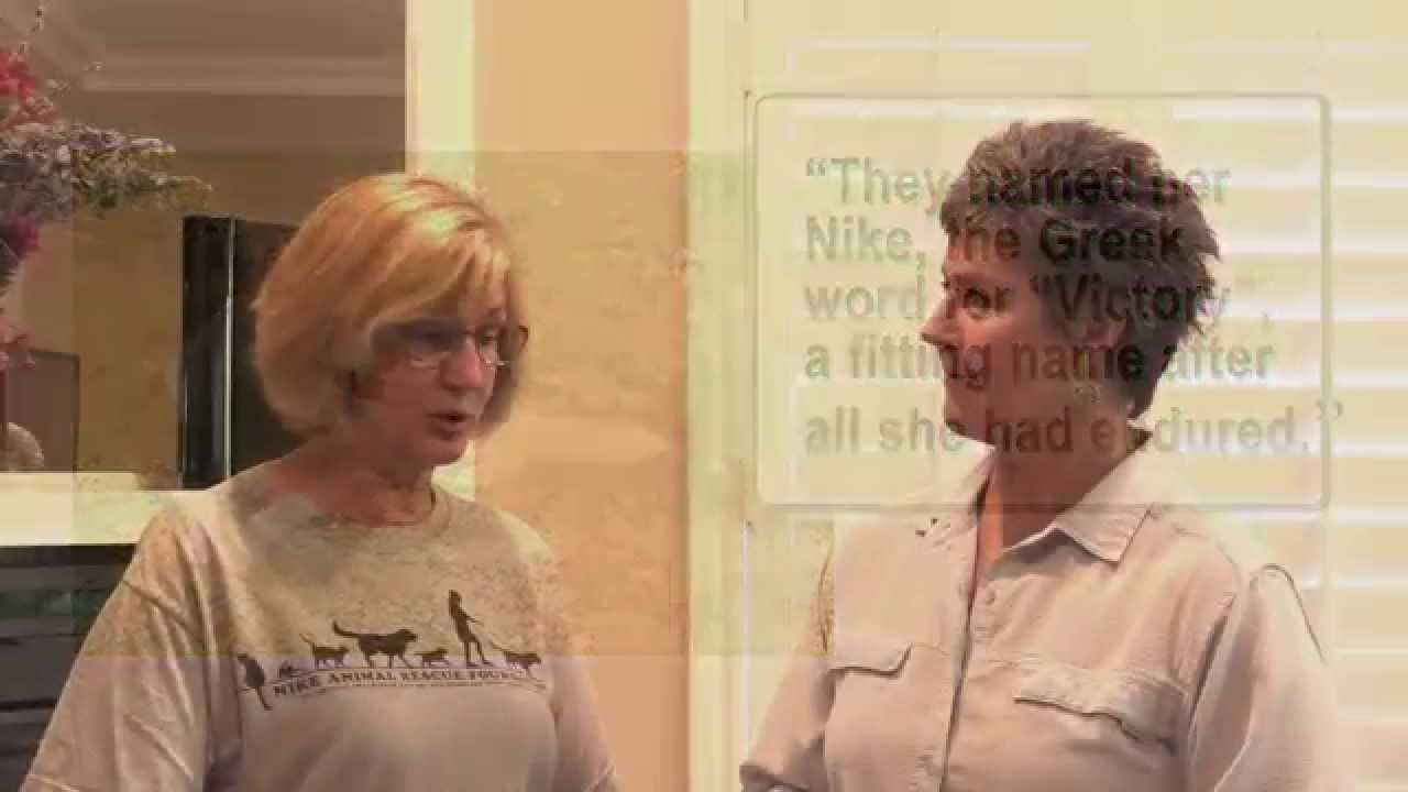 Nike Animal Rescue Foundation Interview with Eloise Reed YouTube