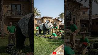 Plants Se Banaya Giant Bear 😱 | AI Garden Transformation #animals #aimagic #garden #gardendesign