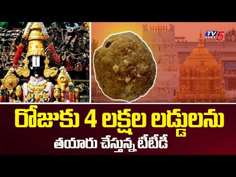 TTD Update : టీటీడీ సరికొత్త రికార్డు | Four lakh Units Laddu Sold Daily with Enhanced Quality | TV5 - TV5NEWS
