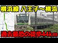 横浜線を44km歩いたら、実は多い◯◯のせいで過去一過酷だった