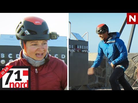 Video: Når trekker terner sørover?