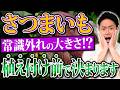 【実例あり!!】収穫ゼロだった農家さんが1株で2kg以上収穫に成功した方法とは?【家庭菜園 ガーデニング 土づくり 土壌改良 さつまいも】