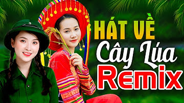 HÁT VỀ CÂY LÚA HÔM NAY REMIX - LK Nhạc Đỏ Cách Mạng Kháng Chiến Remix Bass Căng Bốc Lửa