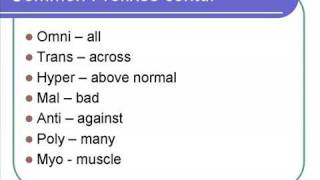 Medical Terminology