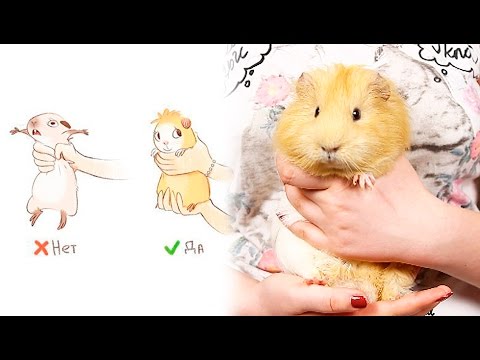 Как Правильно Держать