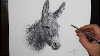 how to draw a donkey portrait