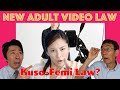 The Problems With Japan’s New Adult Video Law