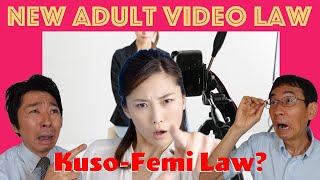 The Problems With Japan’s New Adult Video Law