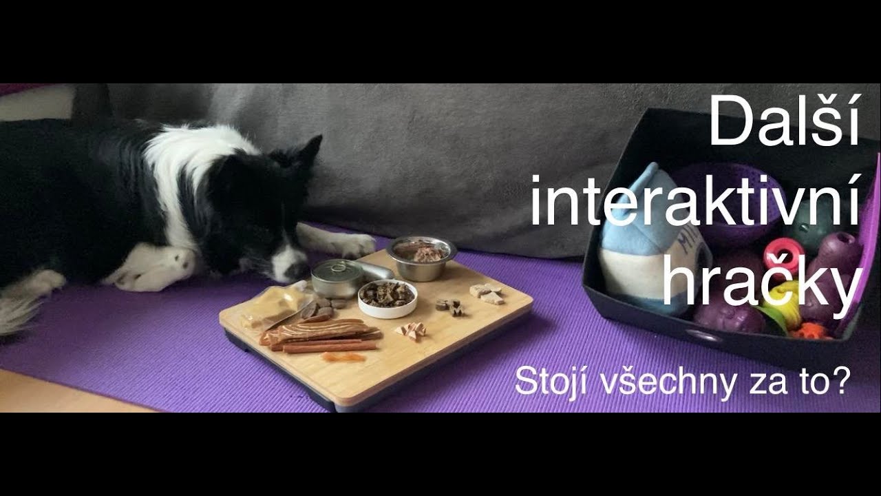Další interaktivní hračky Interactive Dog Toys YouTube
