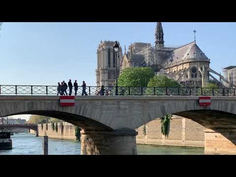 Video: 16 Projektov Pre Notre Dame