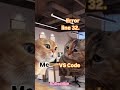 Funny talk about coding between two cats very fantastic python coding