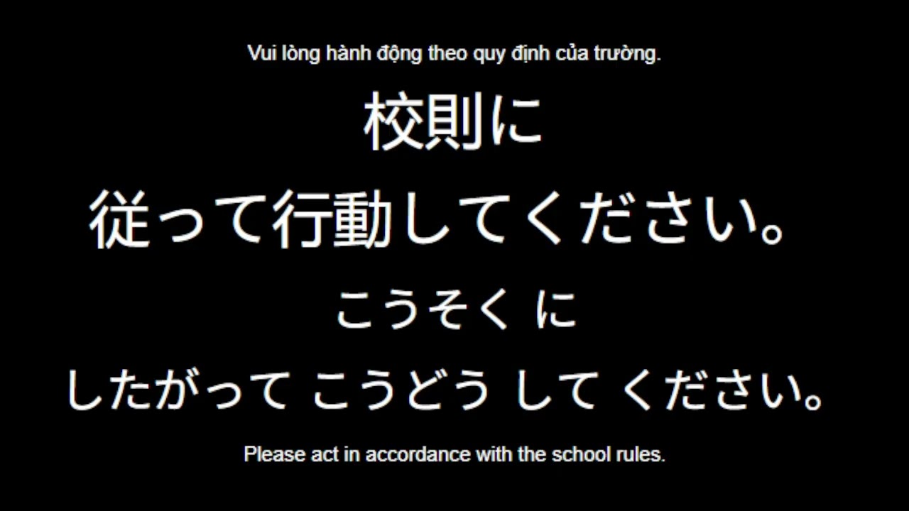 N2 Lesson 7  Grammar Day 7