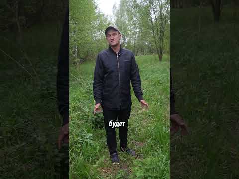 Дороги НЕ БУДЕТ: что скрывает администрация? #строительсводома #стройка