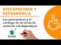 Ley de dependencia prestaciones y catlogo de servicios