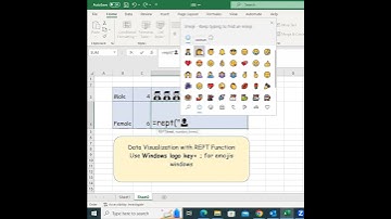 Data Visualization with REPT Function