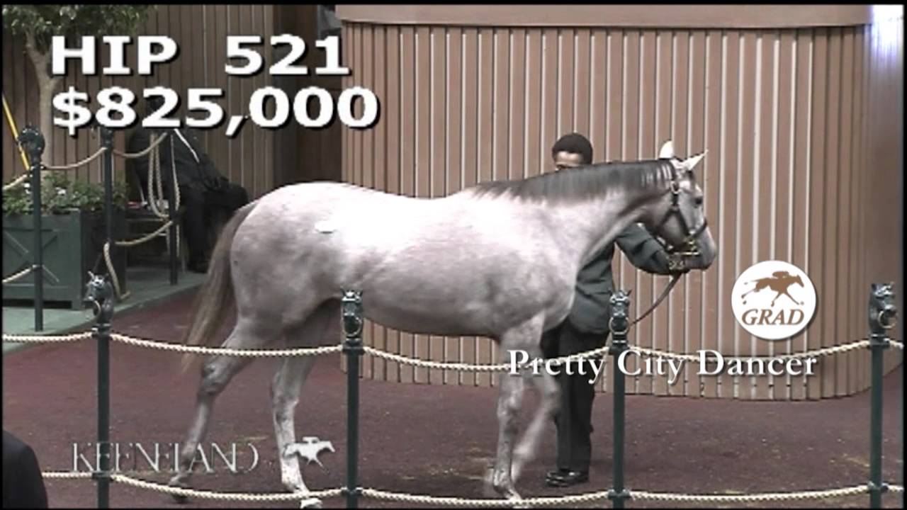 PRETTY CITY DANCER as a Keeneland September Yearling YouTube