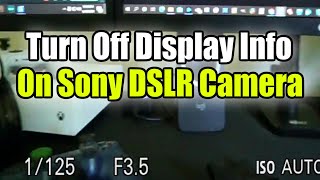 How to Remove Display Info on Sony DSLR Camera when using it as a Web Camera in OBS screenshot 5