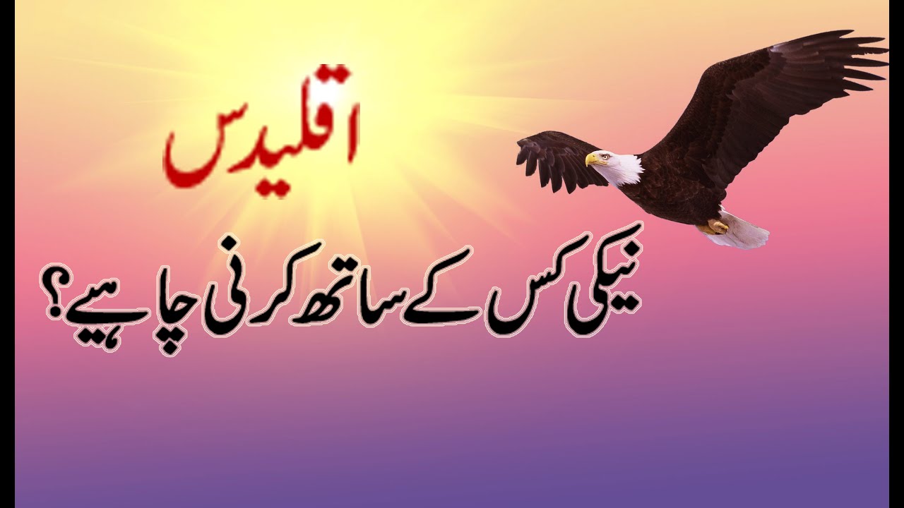 Aqlidas and Borat Some Quotes In Urdu | Raheemi Tv
