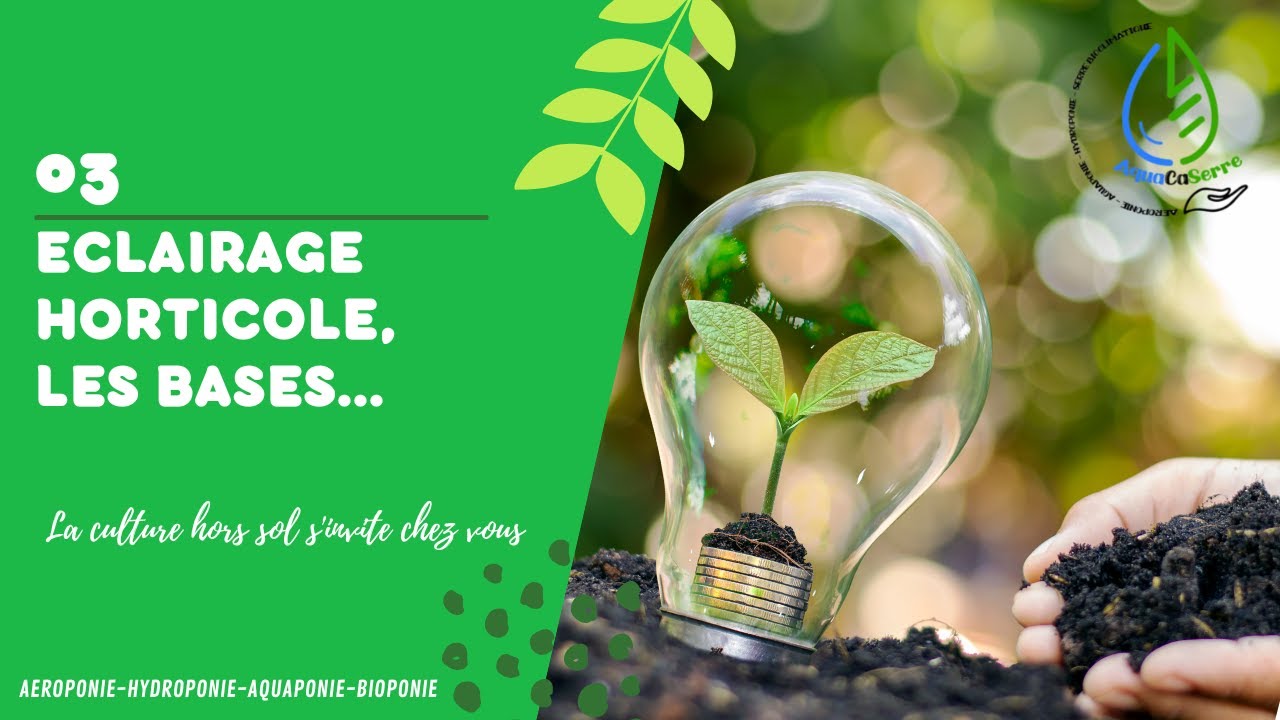 CHOISIR son ECLAIRAGE en HYDROPONIE, les bases (culture hors sol ou ...