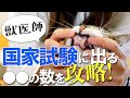 獣医国家試験の問題でもお馴染み！解剖学を学んで授業先取りしよう！