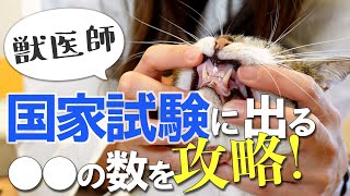 獣医国家試験の問題でもお馴染み！解剖学を学んで授業先取りしよう！