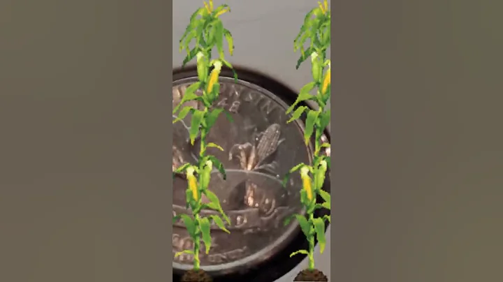 EP1K COIN #3 OF 15 : ⛈️Thunderstruck⛈️ by @M.T.N. VAULTS and his generosity🗽(How to enter in desc.)🗽